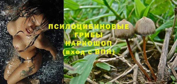 эйфоретик Вязьма