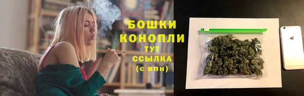 твердый Володарск