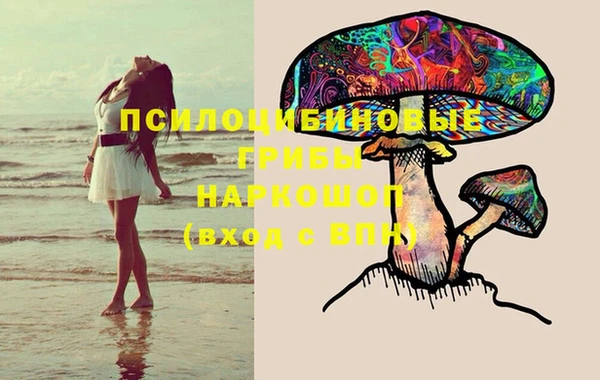 эйфоретик Вязьма